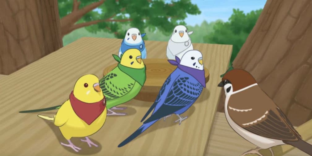 El tierno anime de los periquitos australianos