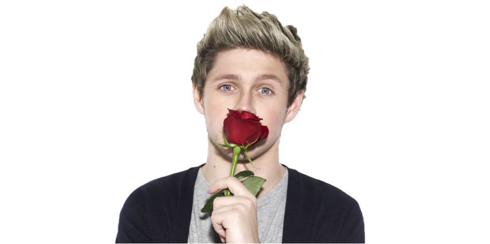 14. Niall Horan: El integrante de One Direction tiene 8 millones de seguidores, síguelo en niallhoran.