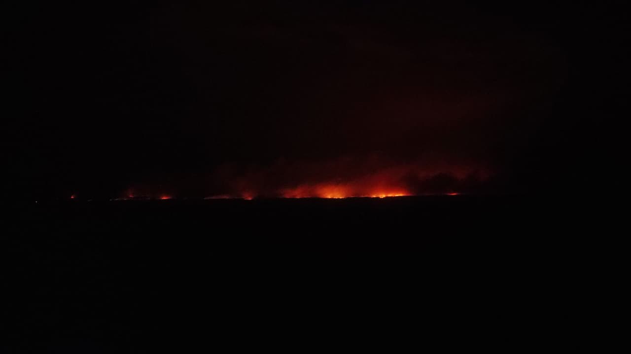Alrededor de Chernobyl se gestaron graves incendios forestales que debieron ser combatidos por cuerpos de bomberos.
