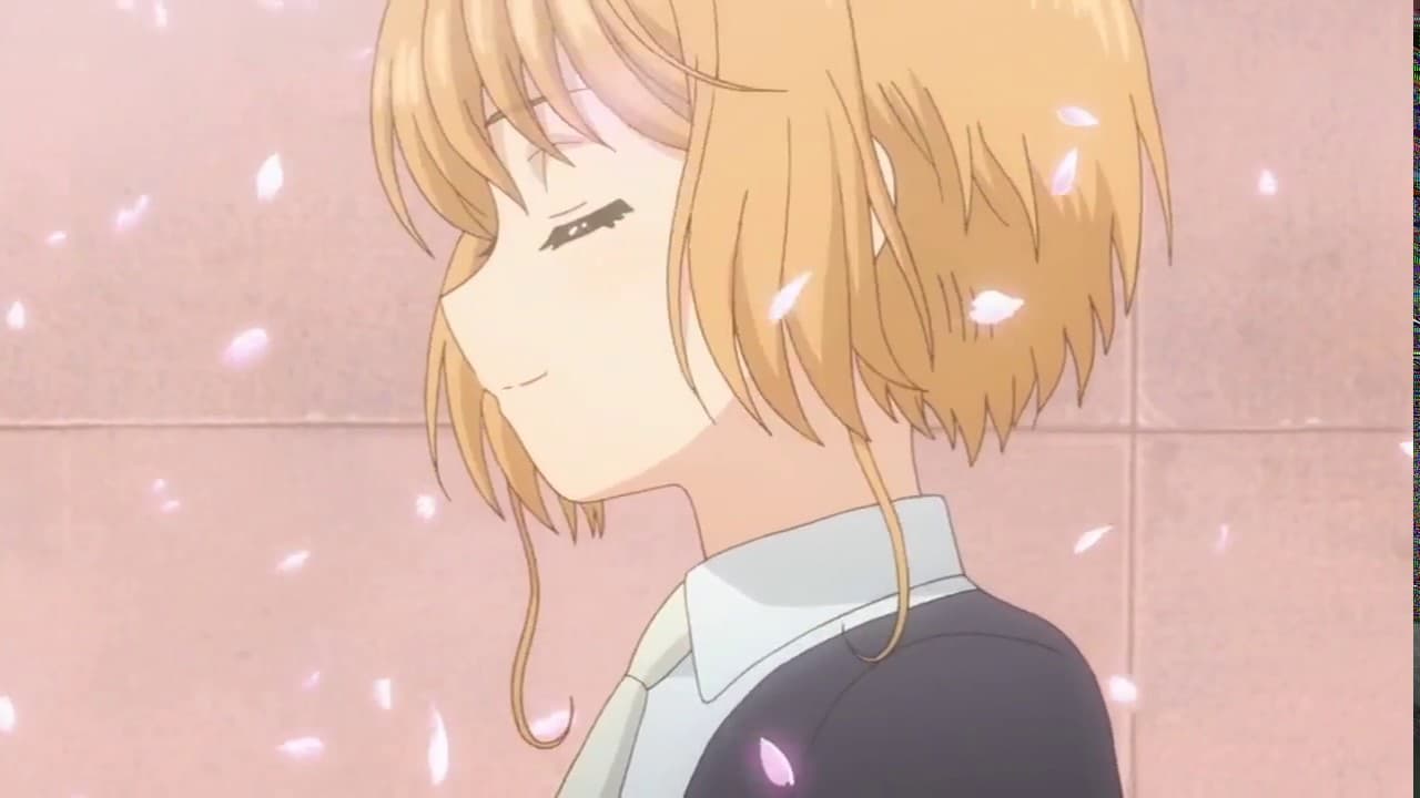 Tráiler latino de 'Card Captor Sakura Clear Card'