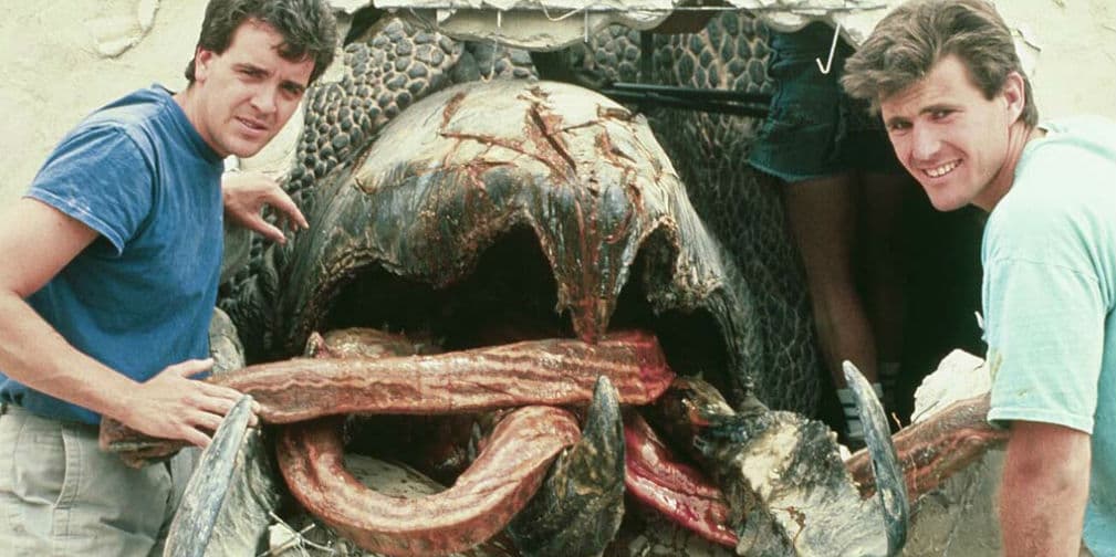 Las criaturas más extrañas encontradas en la tierra
