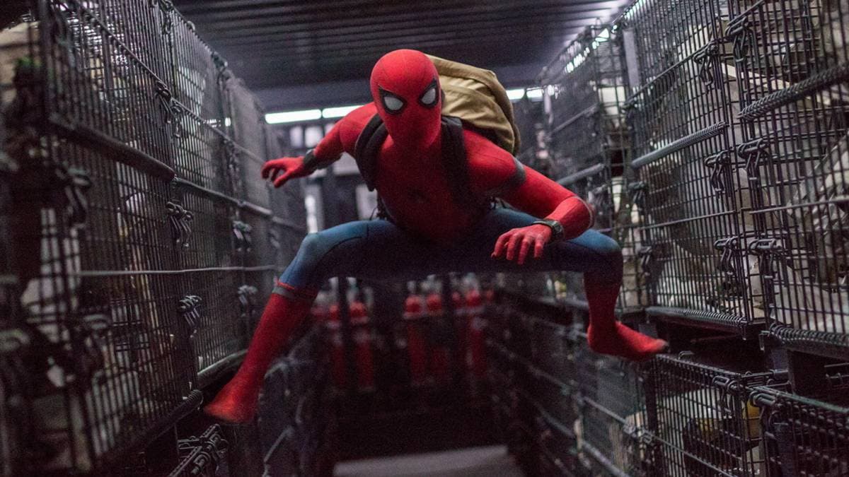 Se ha rumorado que las próximas cintas de Sony en el universo de Spider-Man, como Venom 2 y Morbius, estén ligadas con las cintas encabezadas por Tom Holland. Incluso se han encontrado pistas de ello en los sets de filmación. Sin embargo no se ha confirmado.
