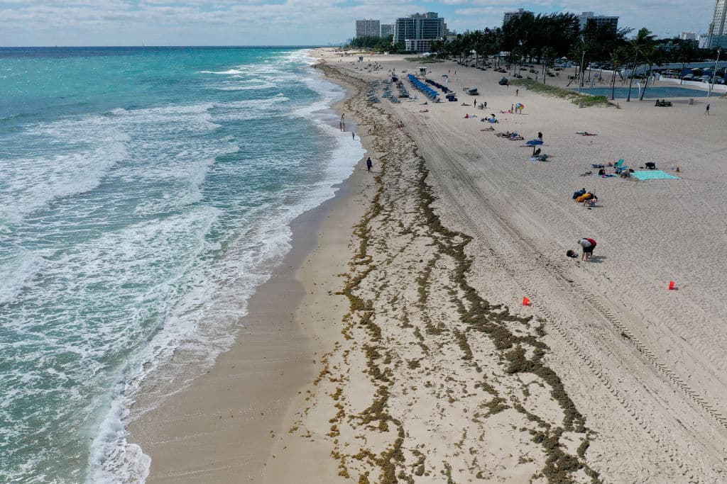 Un padre murió ahogado en una playa intentando salvar a su hija
