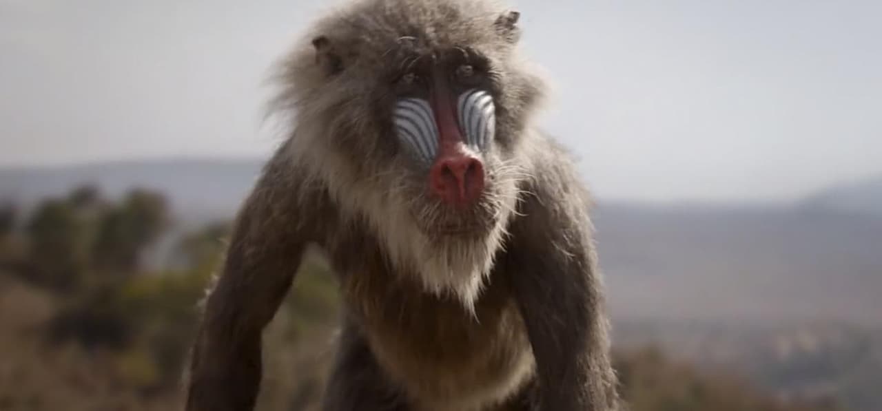 Se puede ver en uno de los fondos de la versión actual el monte Kilimanjaro, lo cual sumado a la fauna local da a entender que la historia transcurre en Tanzania.