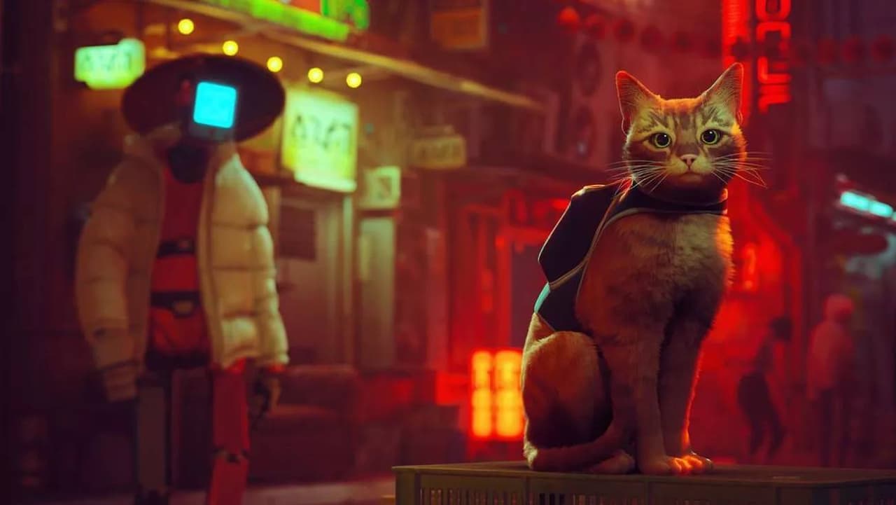 Stray: Hombre dedica victoria a su fallecido gato y se vuelve viral