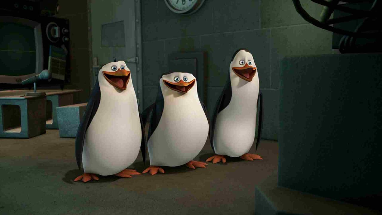 Es importante que respetes las ideas y aportaciones de tus compañeros de equipo, así como lo hacen estos pingüinos todo el tiempo, ¡y de paso nos sacan algunas risas!