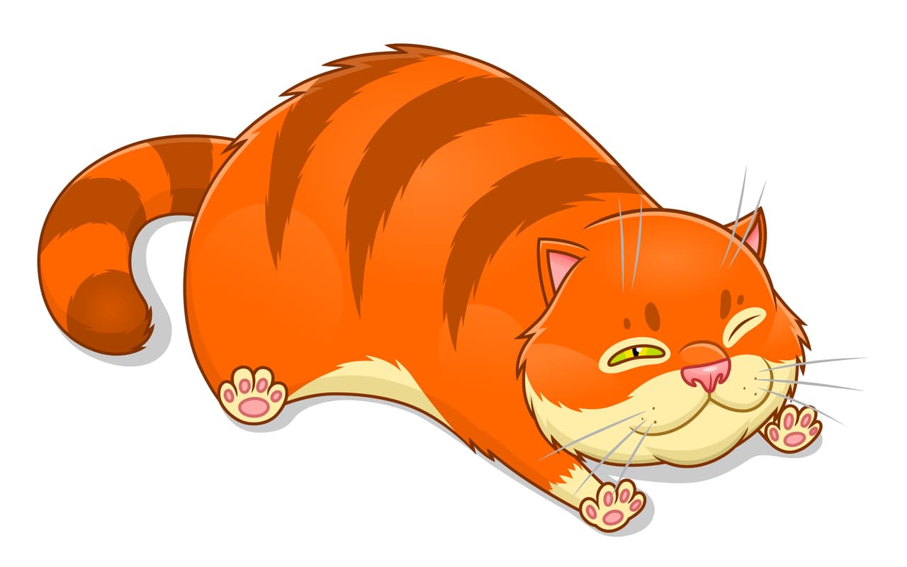 Los felinos más reconocidos del cine