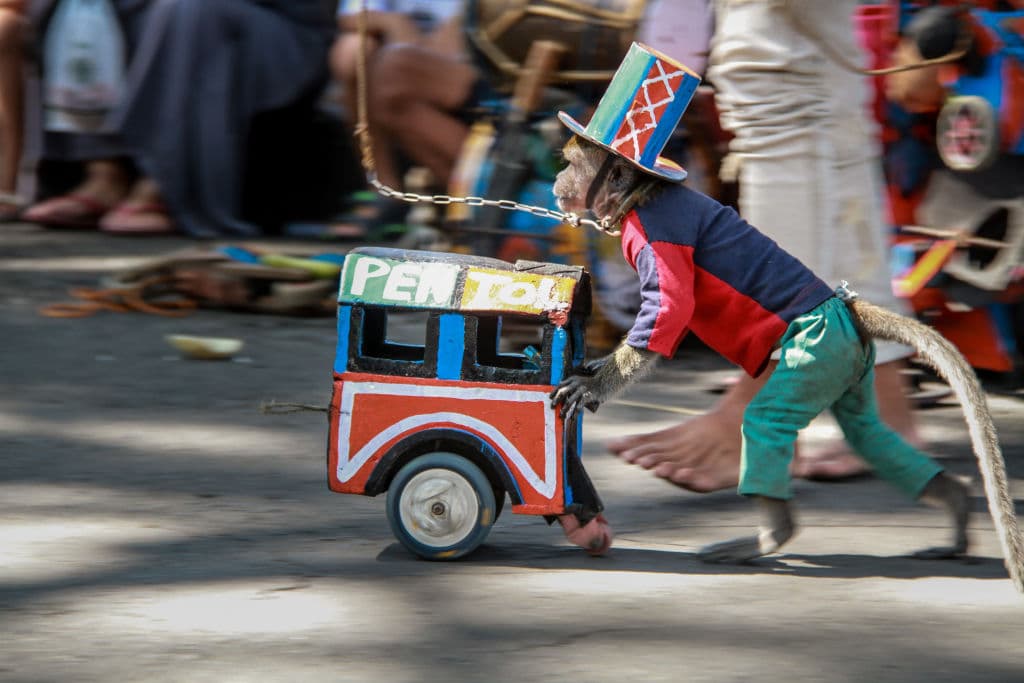 Vestirse y tener sus propias herramientas de trabajo.