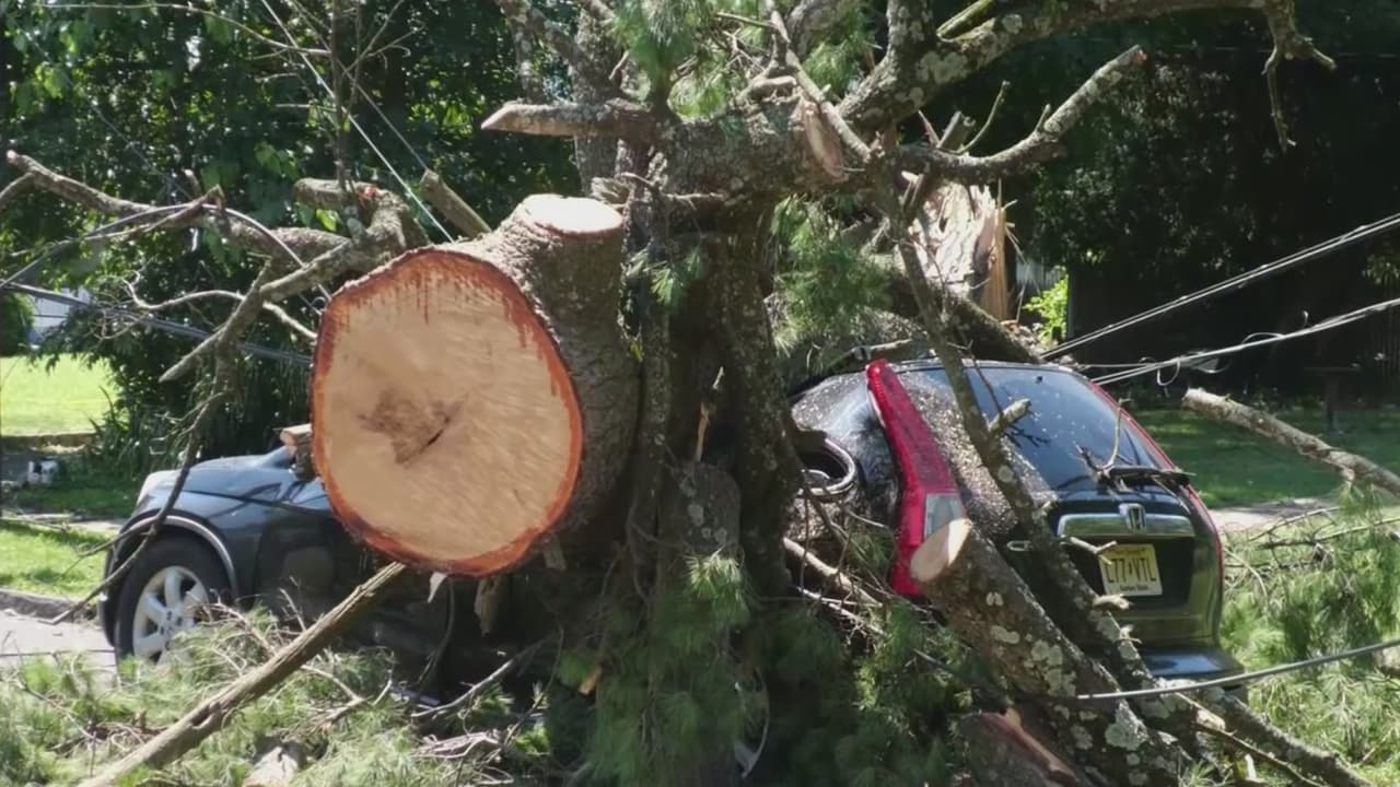 Un hispano, entre las tres víctimas mortales de la tormenta en Nueva Jersey: un árbol cayó sobre su auto