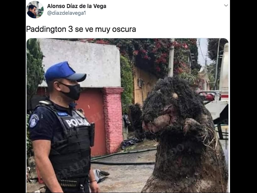 “Paddington 3 se ve muy oscura”, escribió el usuario Alonso Díaz.