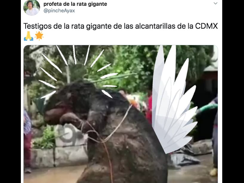 Un usuario de Twitter incluso le puso alas para hacerlo parecer un ser celestial.
