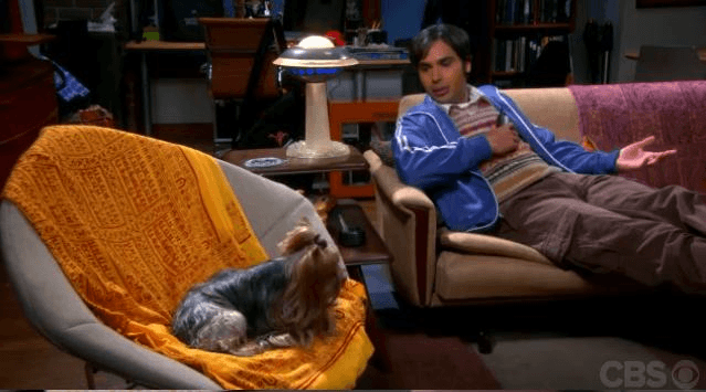 Siempre está dispuesta a ayudar a sus amigos, recordemos el episodio en el que le obsequió a Raj una perrita, a quien llamó Cinnamon, tras una decepción amorosa.