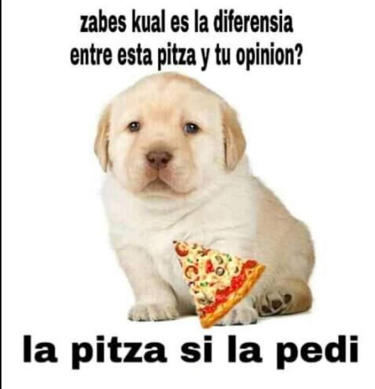 Eso sí, nos dice grandes verdades.