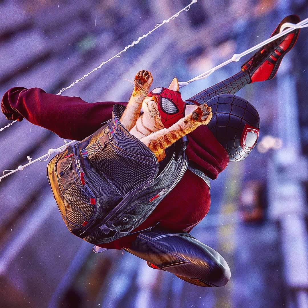 Spider-Man: Miles Morales y Spider-Cat recrean meme por el lanzamiento del juego