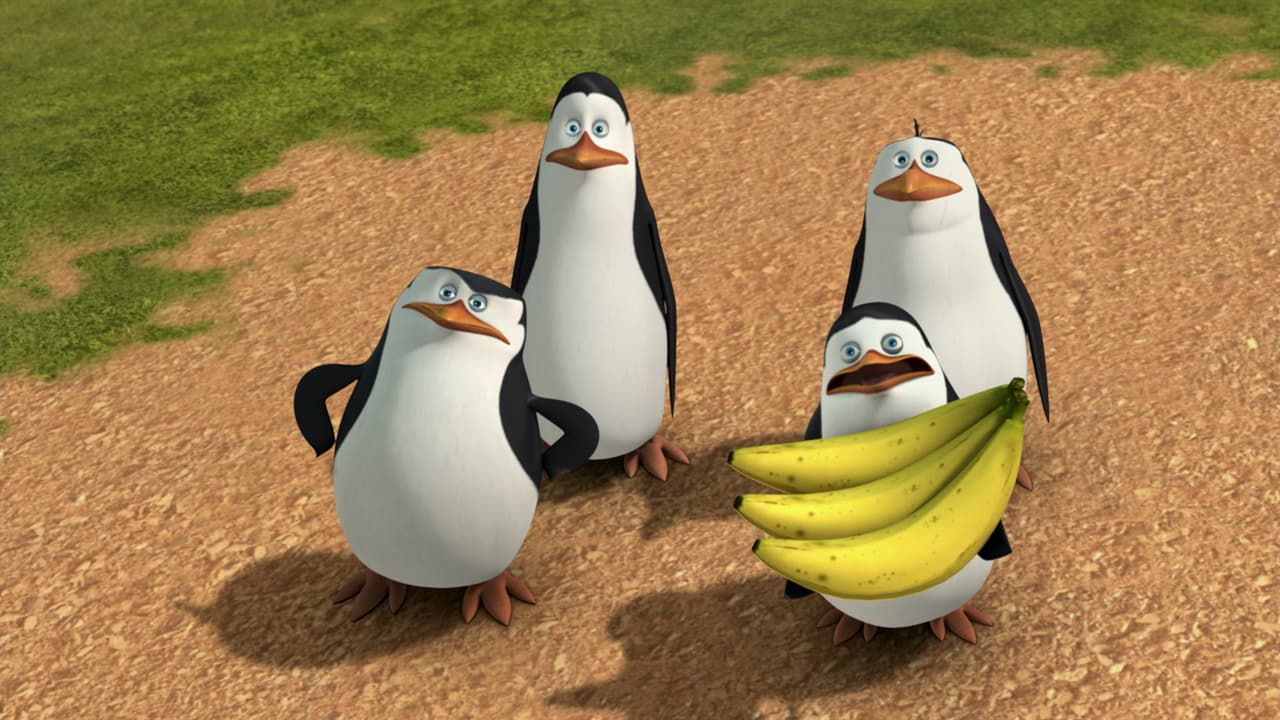 No te decimos que te la pases contando chistes, pero un trabajo en equipo siempre es buen pretexto para conocer gente e incluso hacer nuevos amigos, ¡como lo son los Pingüinos de Madagascar!
