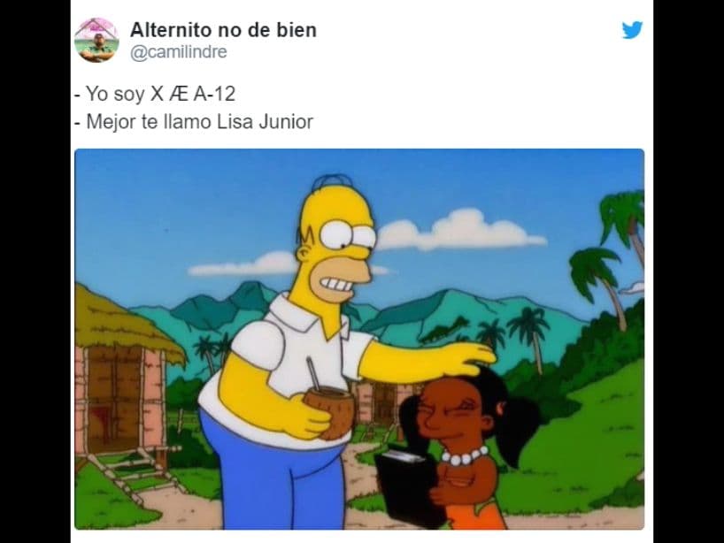 Una teoría dice que “Æ” significa “Ash”, el androide de “Alien”, o que también podría ser el nombre que tiene la ligadura"Æ"en algunos alfabetos, que también es "Ash". Continuamos con el “A-12", que podría ser una referencia a la aeronave “Lockheed A-12”, conocida como Archangel, un avión espía americano de los años 60 que voló por el borde del espacio. Debido a lo anterios, muchos creen que la pronunciación de "X Æ A-12" es "X Ash Archangel".