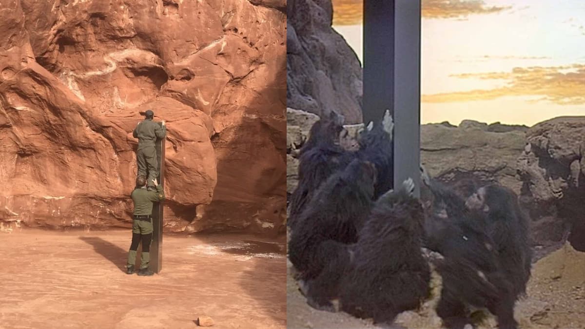 Estos memes del misterioso monolito en el desierto te dejarán como simio
