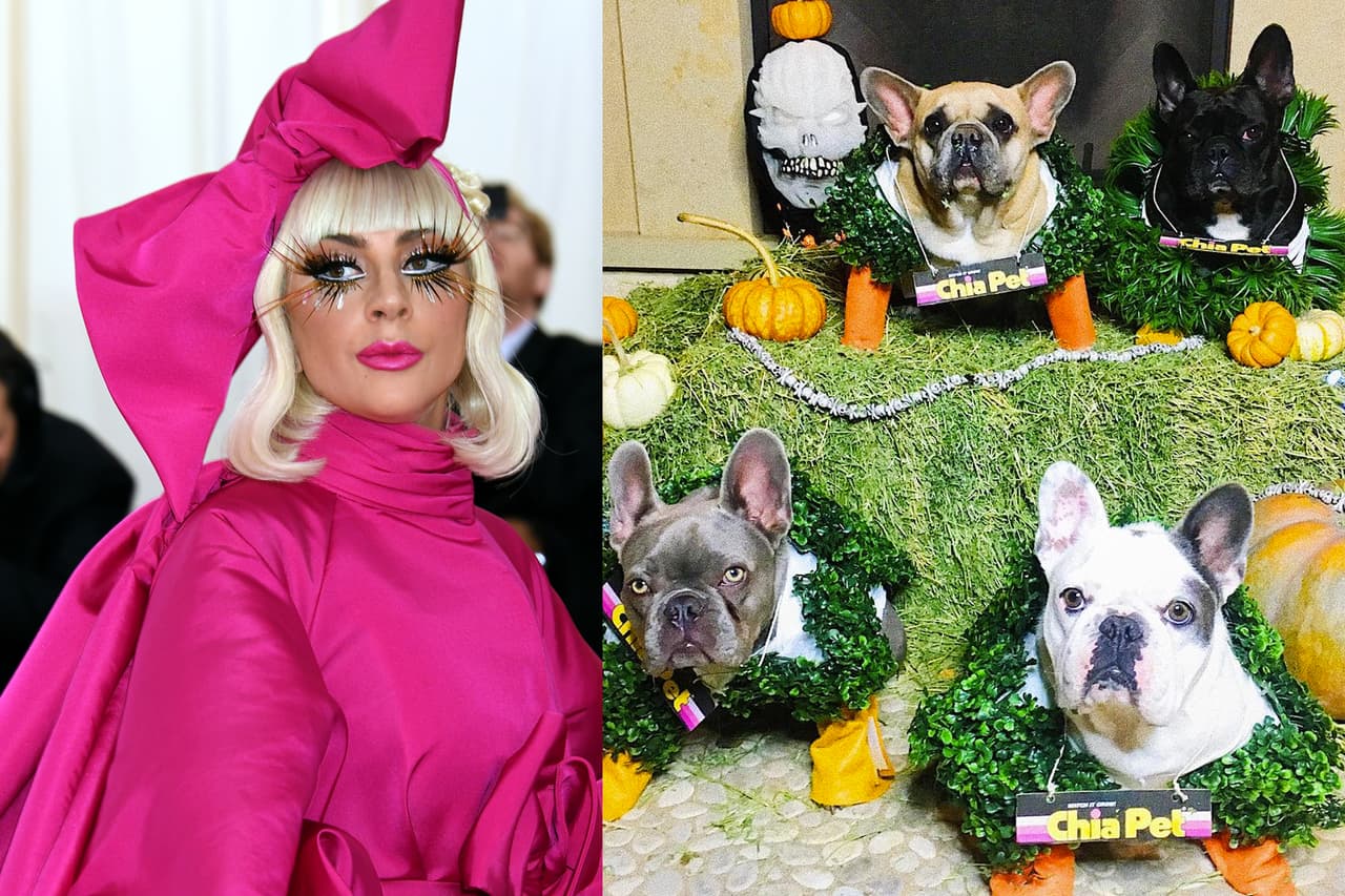 Lady Gaga ofrece recompensa de medio millón de dólares por sus perros