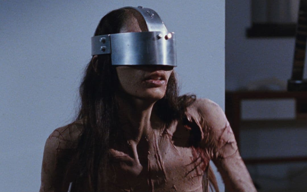 Martyrs (2008): Quince años después de sufrir una horrible tortura prolongada, Lucie da inicio a una venganza sangrienta con su amiga de la infancia Anna, que también sufrió abusos. Te va a doler ver algunas de las escenas.