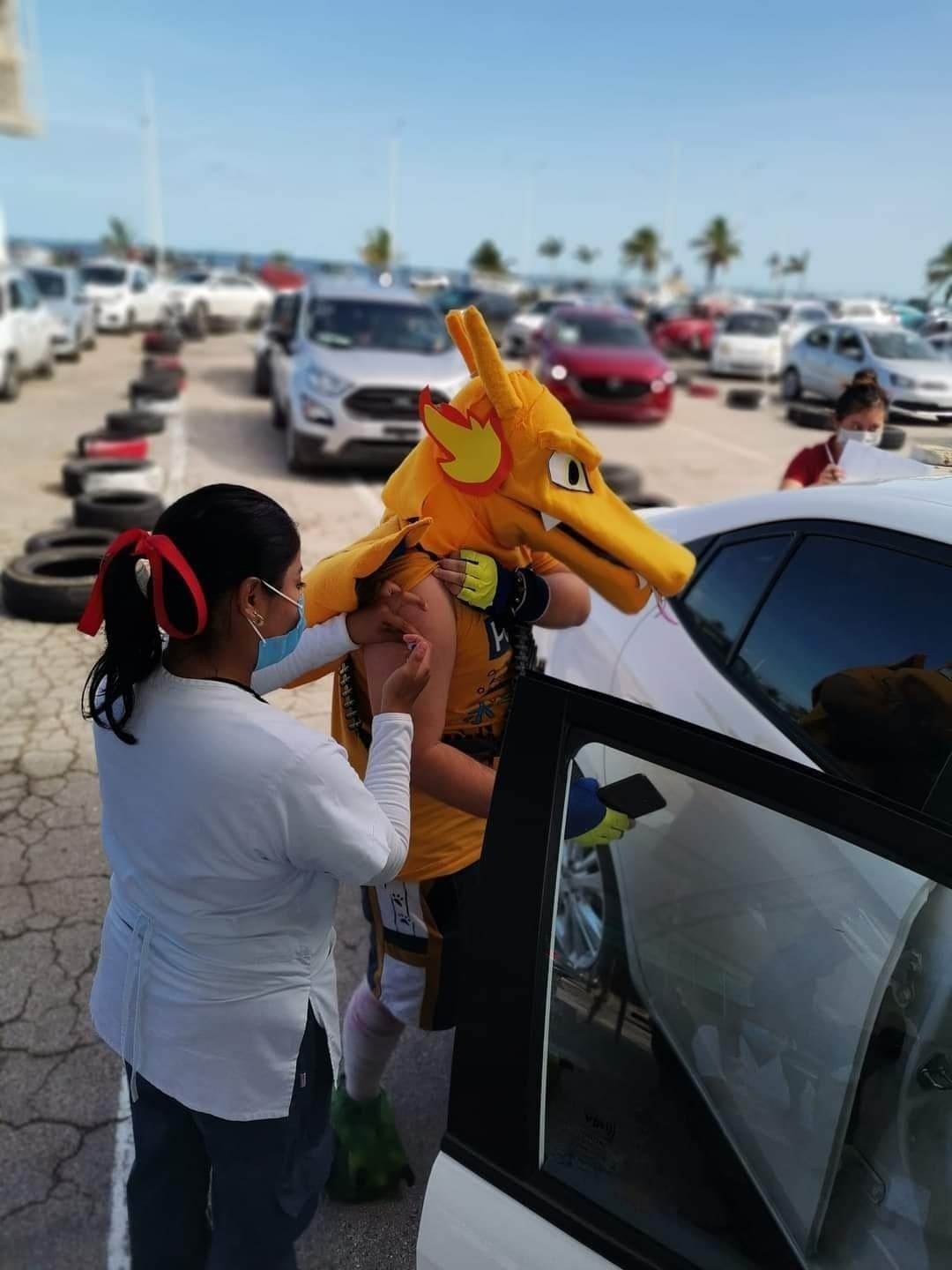 Los pokémon también necesitan protección