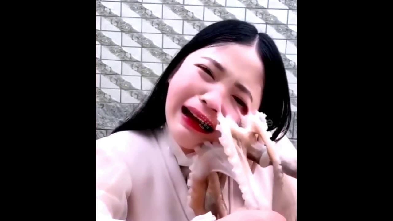 Esta youtuber china no murió, pero sí sufrió importantes lesiones faciales luego de que un pulpo le atrapara la cara.