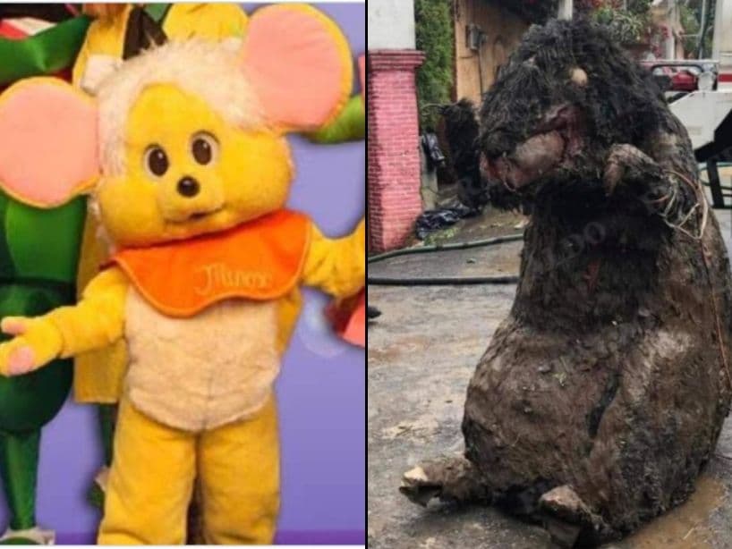 Luego encontraron la botarga de una rata en el drenaje de la CDMX, allá por septiembre.