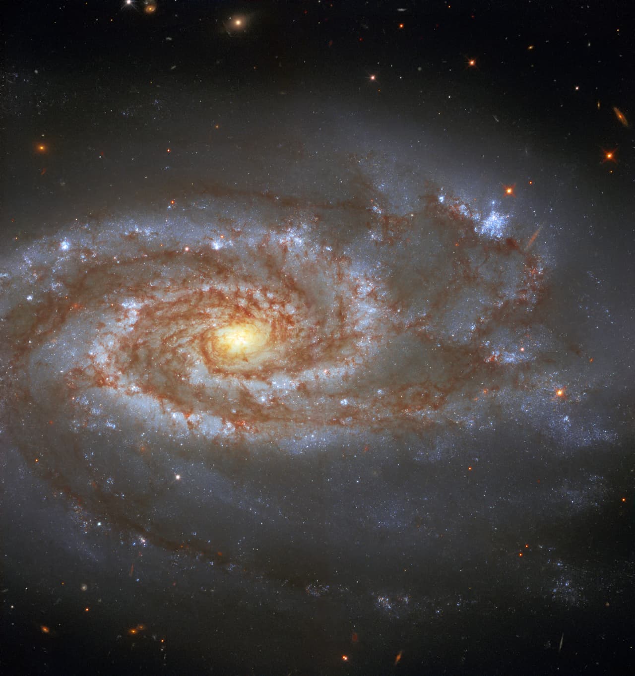 Por otro lado, la galaxia NGC 5861deja ver sus dos súper novas. ¿Cuál es tu imagen favorita de esta colección galáctica?