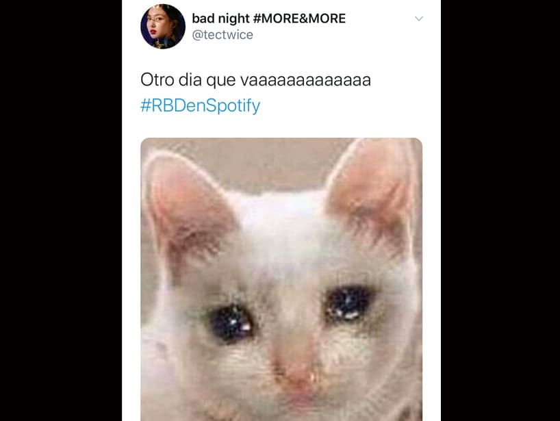“Otro día que va”, escribió una fan para acompañar esta imagen de un gatito a punto de llorar.