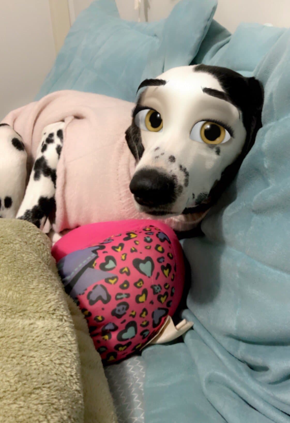 Esta foto nos representa todas las mañanas a los que nos desvelamos viendo series.