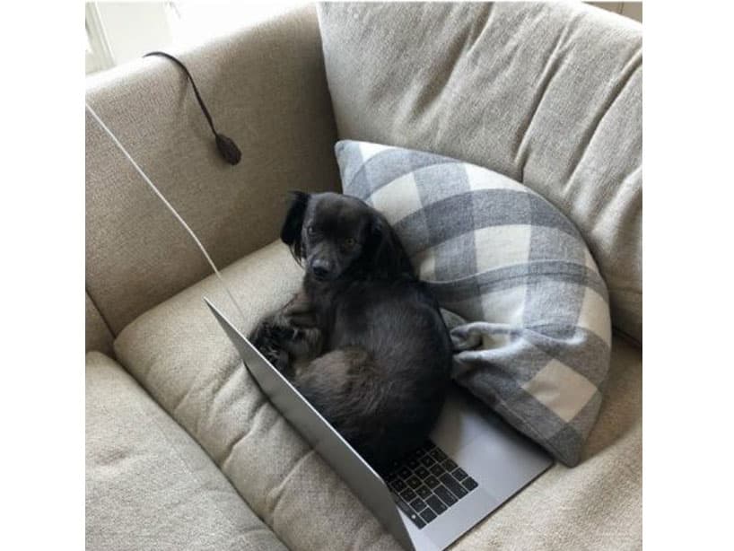 Uno ya no puede distraerse o su compañero se apodera de la computadora.