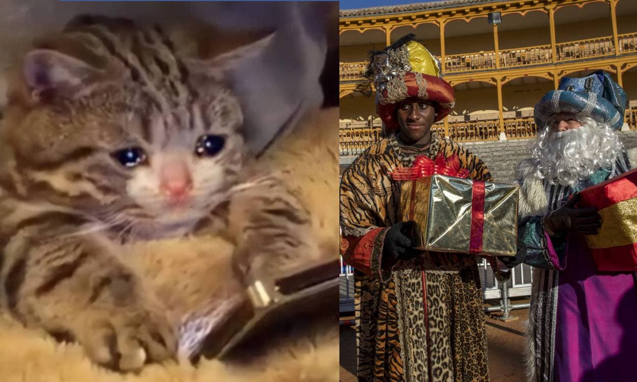 12 memes para celebrar la llegada de los Reyes Magos 2023