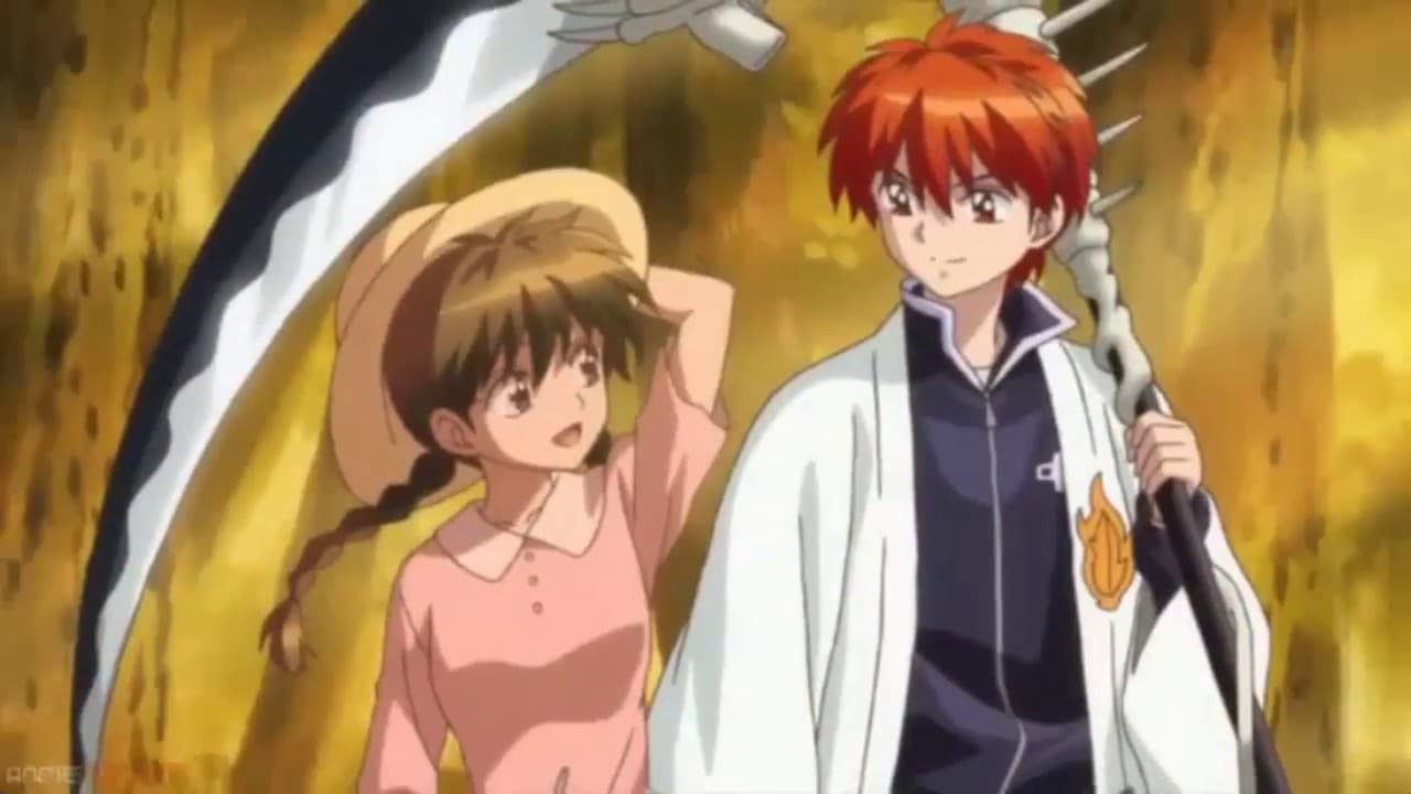 Kyokai no Rine, publicado de 2009 al 2017, fue el más reciente manga de Takahashi en ser adaptado al anime.
