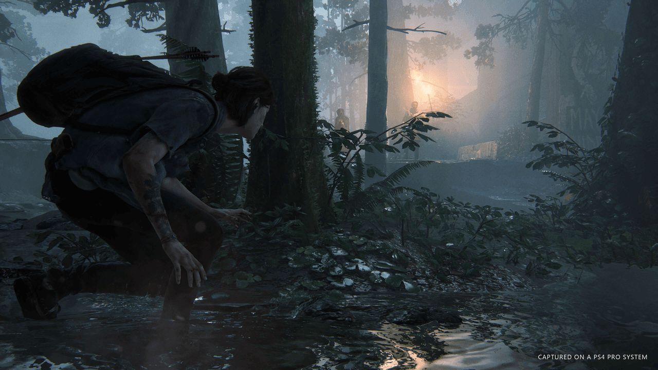La enfermedad que ha asolado al mundo no ha cedido y sigue castigando a la humanidad. Pese a ello Ellie y Joel, protagonistas del primer juego, se las han arreglado para subsistir. Aunque un acontecimiento hace que la chica inicie un duro camino de venganza.