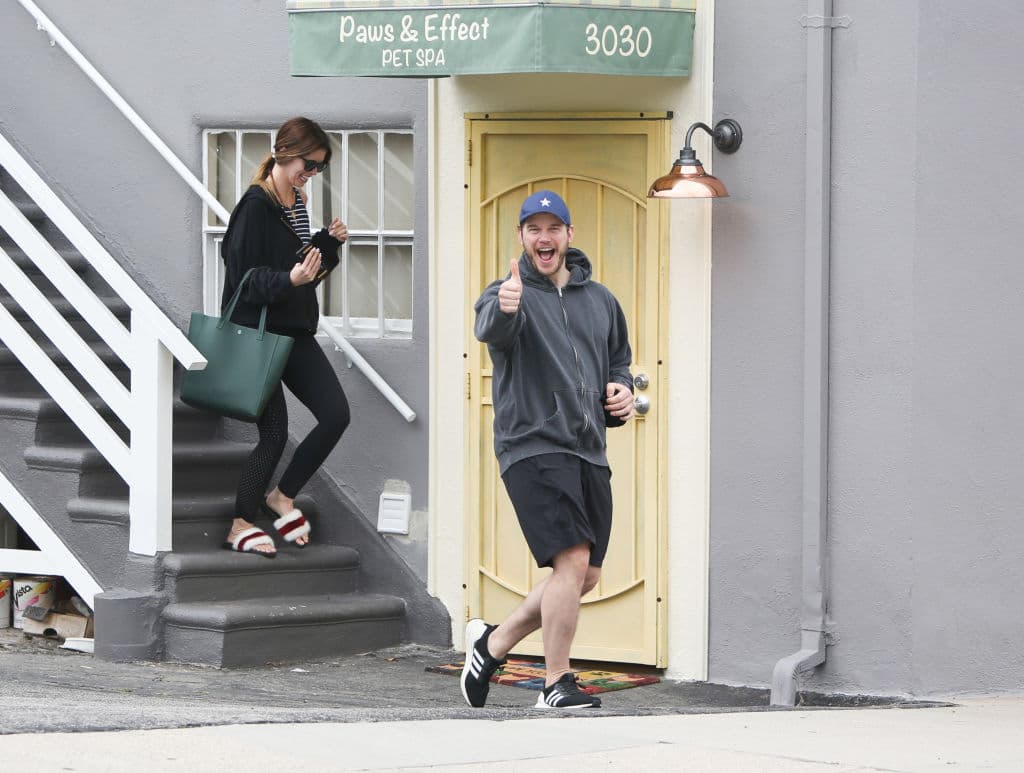 Casi un año después, en junio de 2018, Pratt comenzó a salir con Katherine Schwarzenegger. Maria Shriver, la madre de la escritora, los presentó en una reunión. Katherine es 10 años menor que Chris.