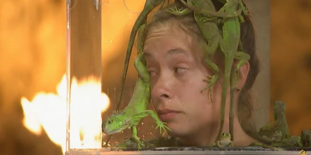 #Los4deR4E Episodio 16