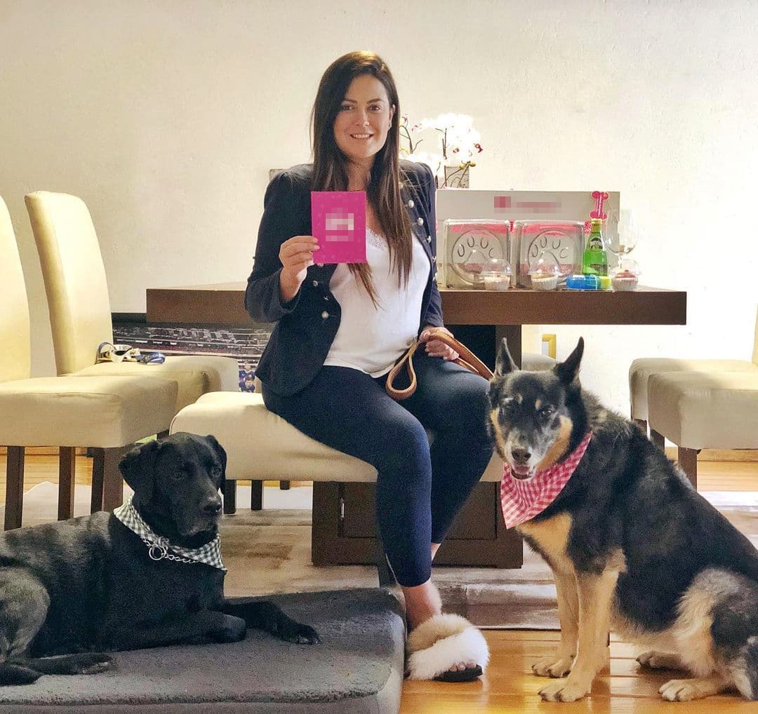 ¡Nooo! Mariana Echeverría muestra cómo su perro acabó con un pastel de chocolate