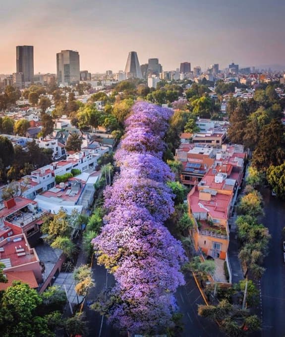 Ciudad de México
