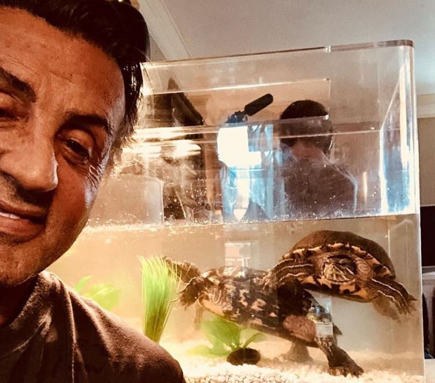 Hablando de Rocky, las dos tortugas que salen en la película, Cuff y Link, siguen vivas y aún viviendo con el protagonista, después de más de 40 años.