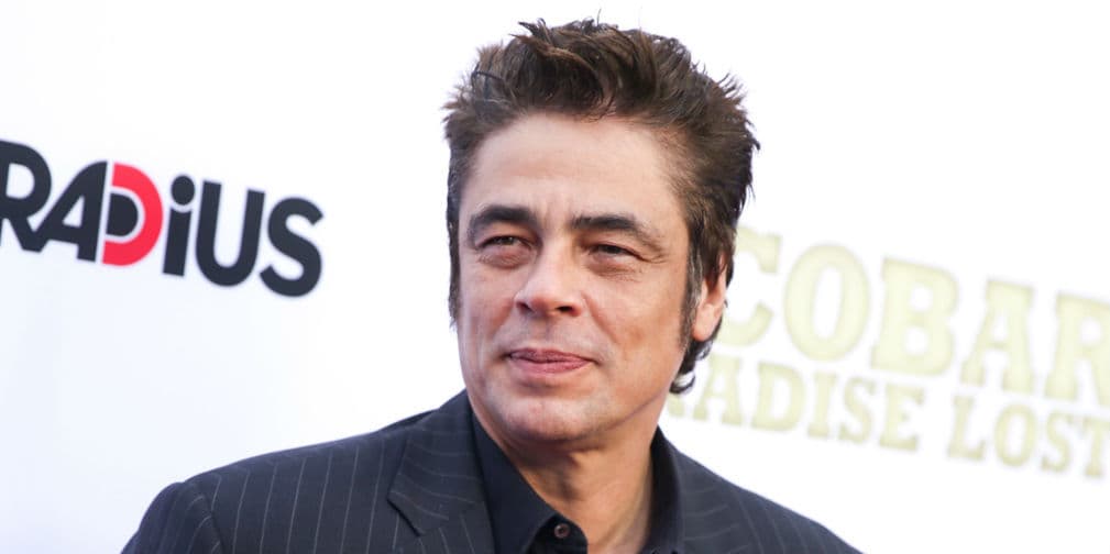 1. Benicio del Toro: Nació en San Juan, Puerto Rico, el 19 de febrero de 1967, es un actor nacionalizado español.