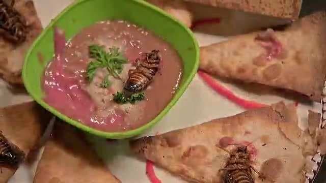 Carpaccio de rana con cucarachas y otras delicias del Inframundo