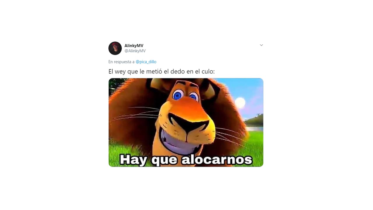 La teoría de unos es que aplicó la de Alex, el león de las películas de Madagascar, y se dejó llevar.