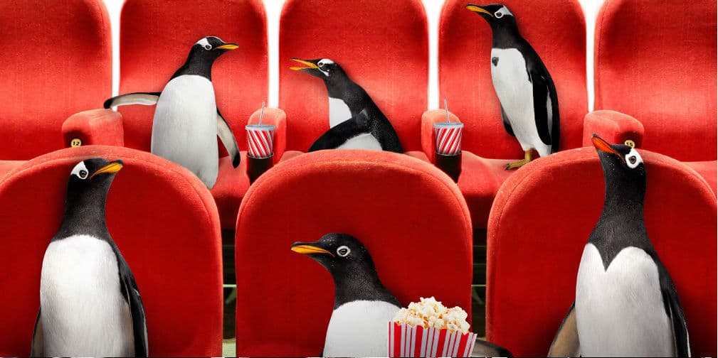 Los Pingüinos de Papá
