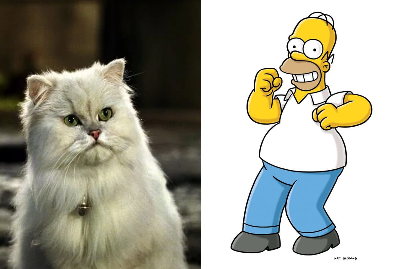 Humberto Vélez hizo la voz de Homero Simpson de 1999 a 2005. También interpretó a Pelusa, el malvado gato de 'Stuart Little'.
