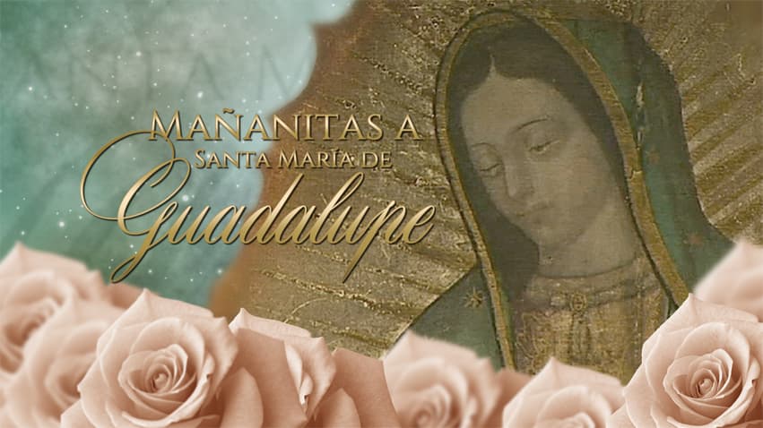 Mañanitas a Santa María de Guadalupe