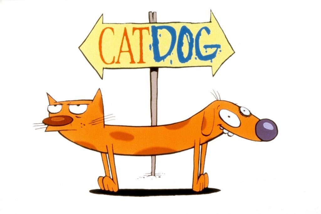 'CatDog' era divertidísima, los protagonistas no podían ser más diferentes entre ellos y la canción del inicio te la sabías de memoria.