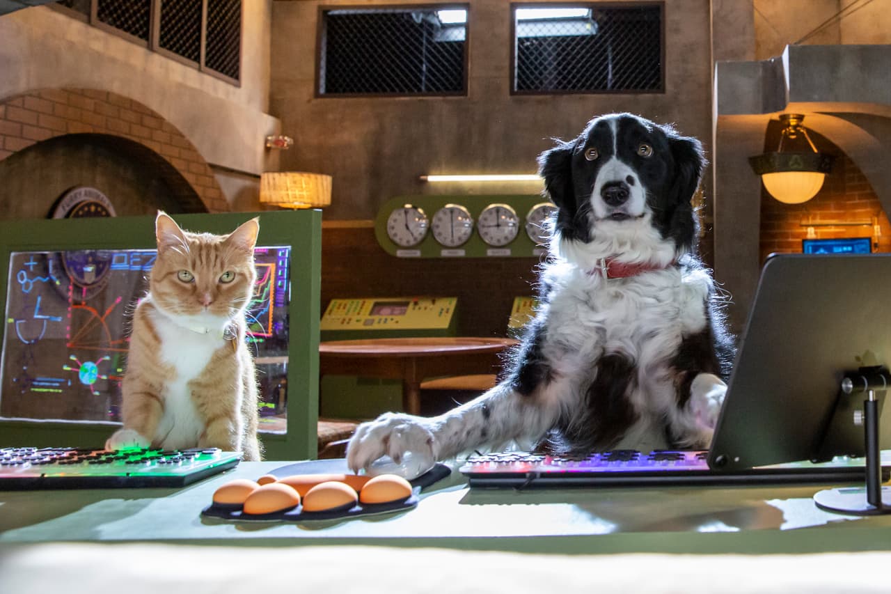 Empezamos con una pregunta obvia: ¿Tienes mascota, qué prefieres: perros o gatos? "Me gustan todos los animales. Tengo perros y gatos, tuve de todos los animales al crecer".
