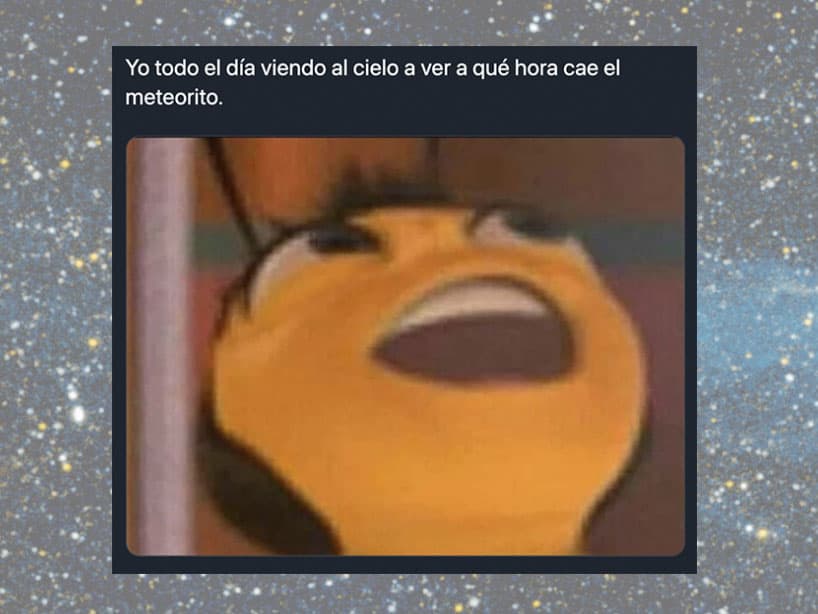 Hay gente que, en serio, va a pasar todo el día revisando el cielo en espera del mentado meteorito.