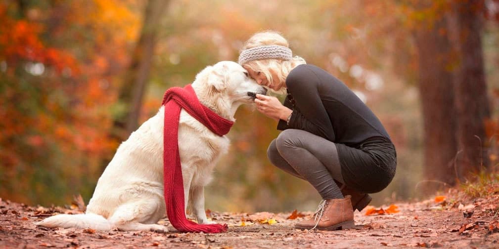 Las cosas más ridículas que hacen los 'Dog Lovers'