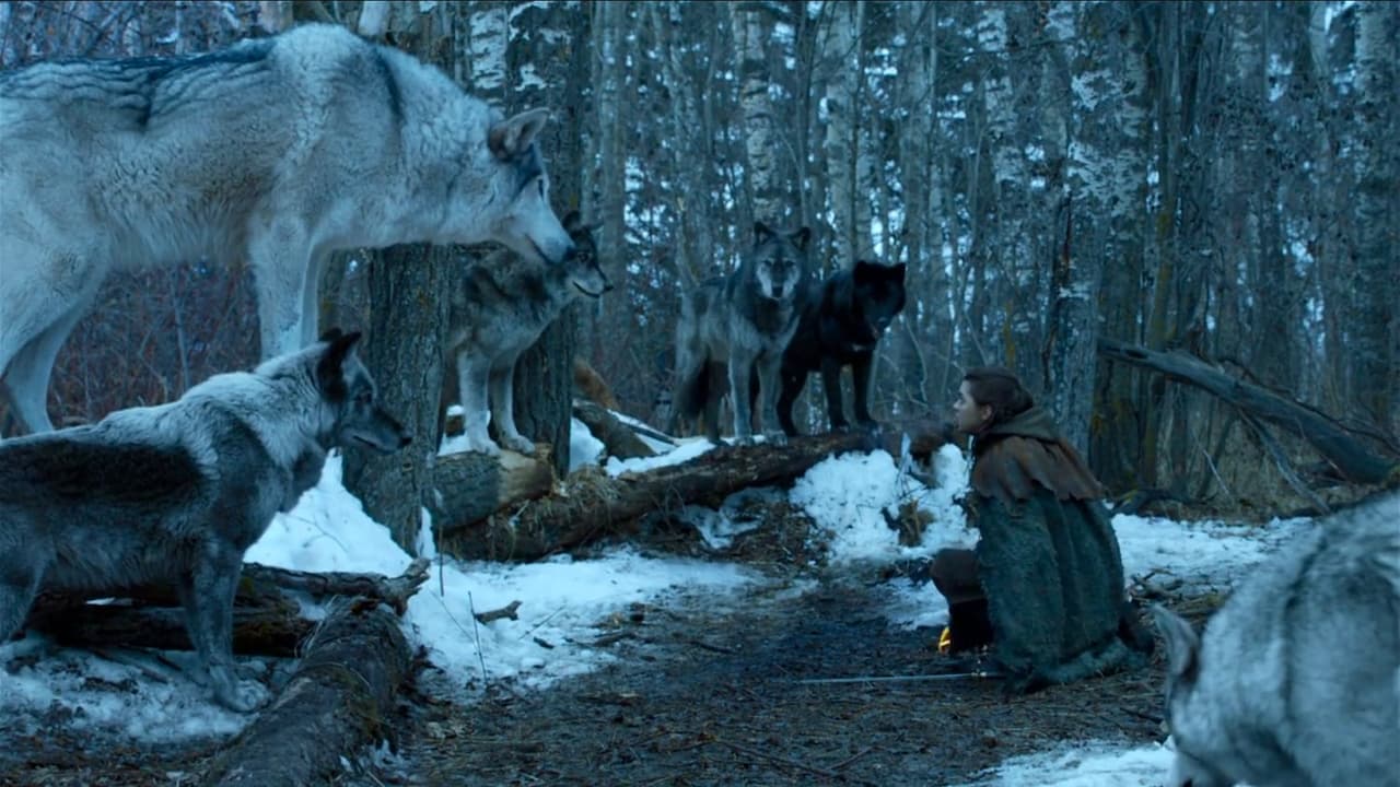 ¿Cómo se llaman los lobos que acompañan a los Stark?