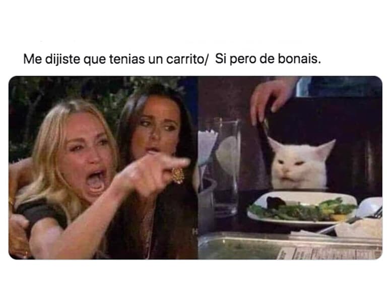Este meme está por todas partes.